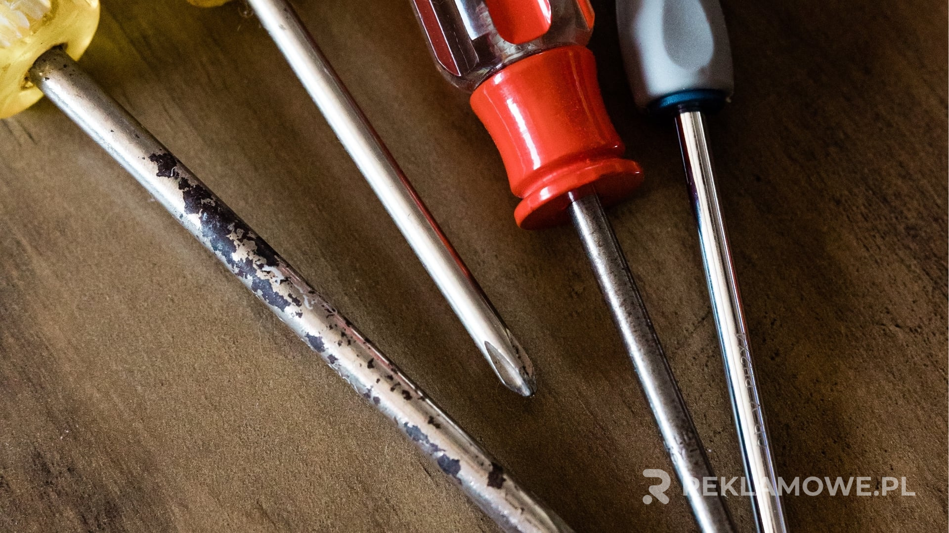 Śrubokręt jako prezent promocyjny dla branży